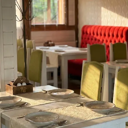 Restaurant Vizit 3*