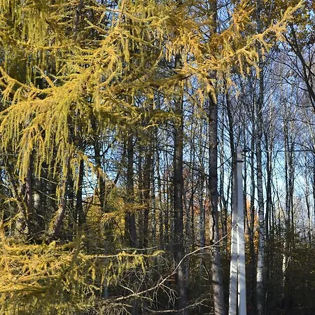 Restaurant Vizit Inn Truskavets