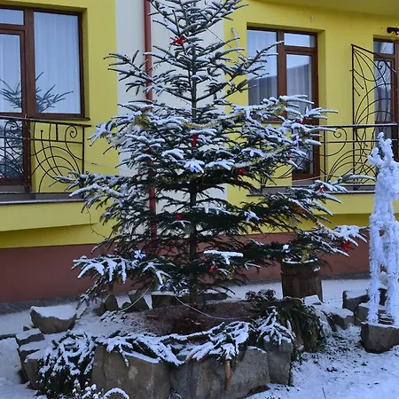 Inn Restaurant Vizit