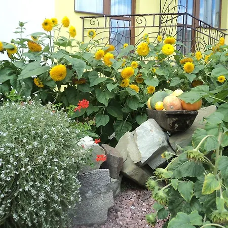 Restaurant Vizit Truskavets