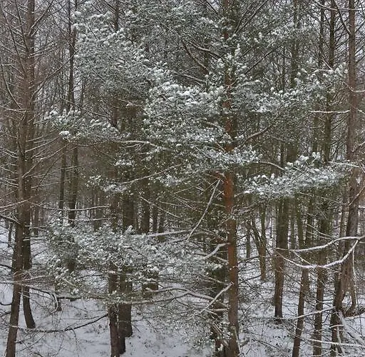 Мини-отель Restaurant Vizit 3*