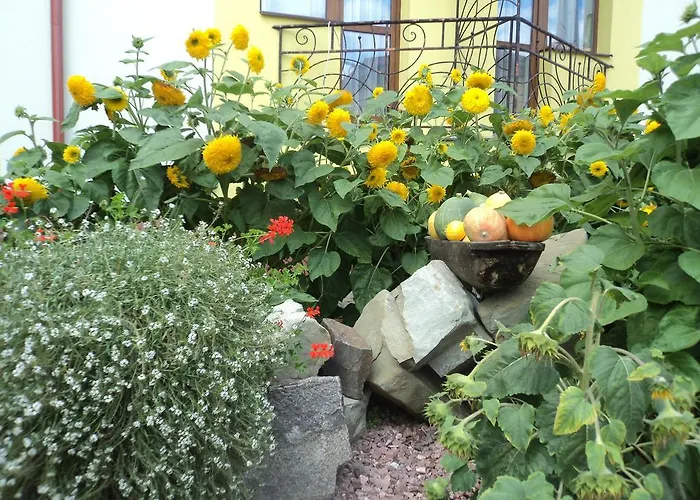 Restaurant Vizit Truskawiec